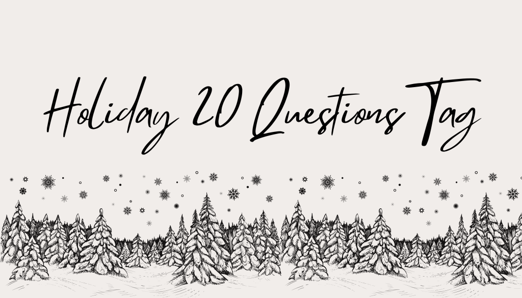 Holiday 20 Questions&nbsp;Tag